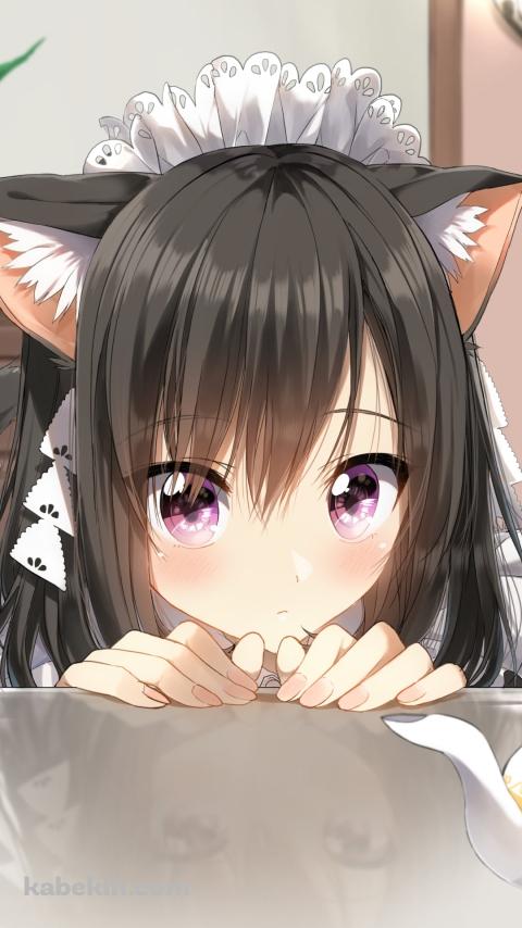 テーブル越しに覗く可愛いメイド / 黒髪 / 猫耳 / ティーポットのAndroidの壁紙(480px x 854px) スマホ用