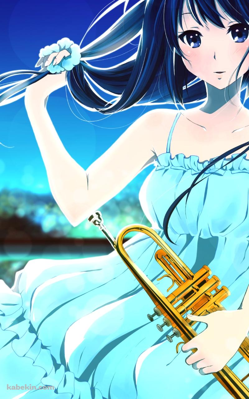 髪をほどく高坂麗奈（こうさかれいな） / トランペット / 響け!ユーフォニアムのAndroidの壁紙(800px x 1280px) スマホ用