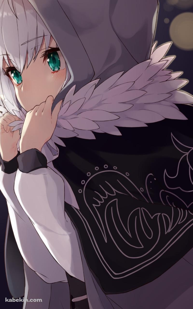 フードを被った可愛いグレイ / ロード・エルメロイii世の事件簿のAndroidの壁紙(800px x 1280px) スマホ用