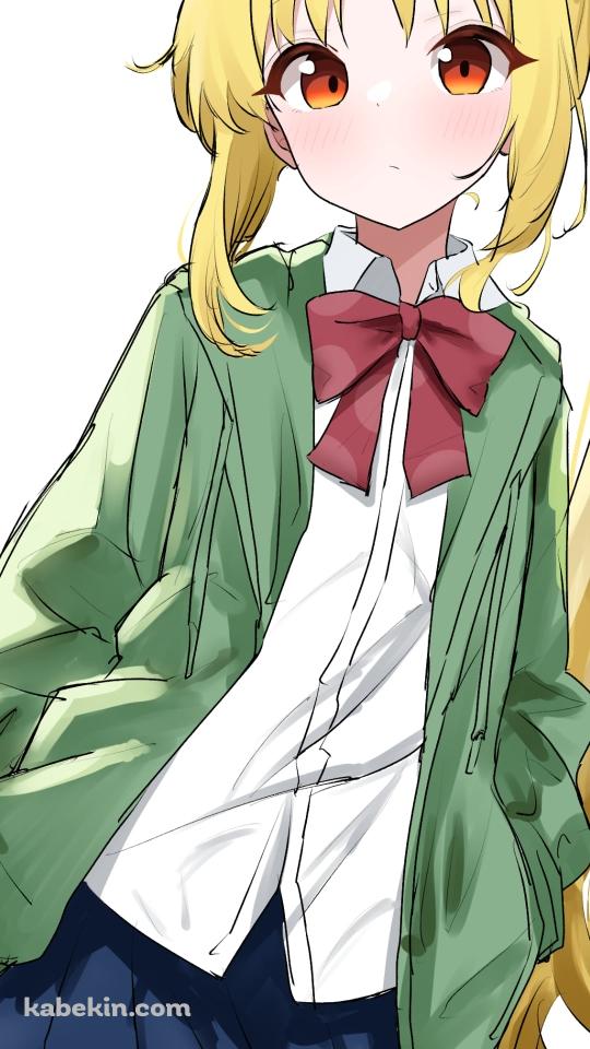 緑のジャンパーに手をつっこむ可愛い伊地知虹夏 / ぼっち・ざ・ろっく!のAndroidの壁紙(540px x 960px) スマホ用