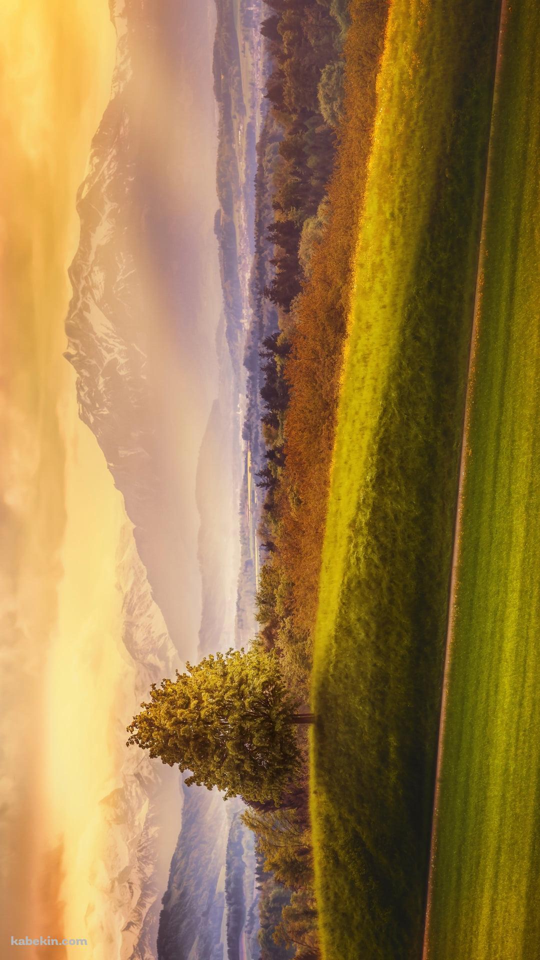 どちゃくそ綺麗な田舎の丘陵地帯 / 山岳 / 夕陽のAndroidの壁紙(1080px x 1920px) スマホ用