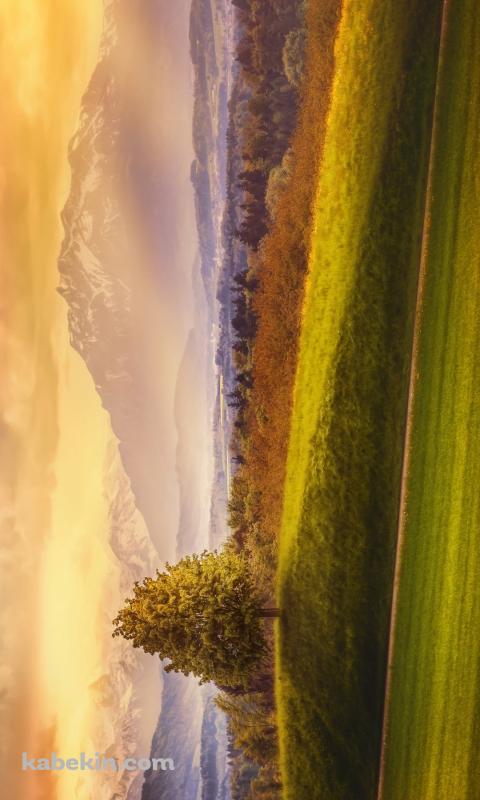 どちゃくそ綺麗な田舎の丘陵地帯 / 山岳 / 夕陽のAndroidの壁紙(480px x 800px) スマホ用