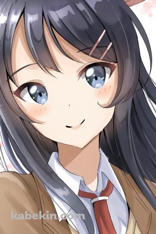 制服姿の可愛い桜島麻衣 / 赤いネクタイ / 青春ブタ野郎はバニーガール先輩の夢を見ないのAndroidの壁紙(320px x 480px) スマホ用