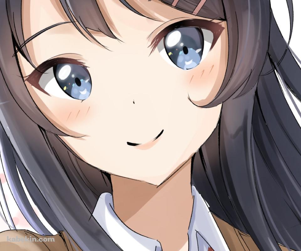 制服姿の可愛い桜島麻衣 / 赤いネクタイ / 青春ブタ野郎はバニーガール先輩の夢を見ないのAndroidの壁紙(960px x 800px) スマホ用