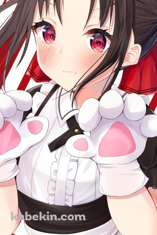 猫の手袋をはめたメイド姿の可愛い四宮かぐや（しのみや かぐや） / 副会長 / かぐや様は告らせたい～天才たちの恋愛頭脳戦～のAndroidの壁紙(320px x 480px) スマホ用