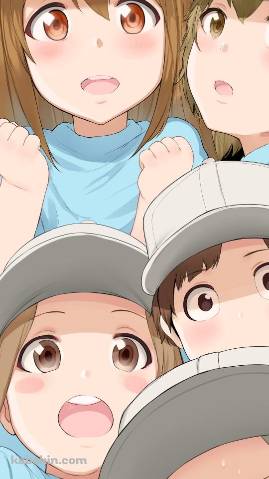 ギュウギュウ詰めの血小板 / はたらく細胞のAndroidの壁紙(540px x 960px) スマホ用