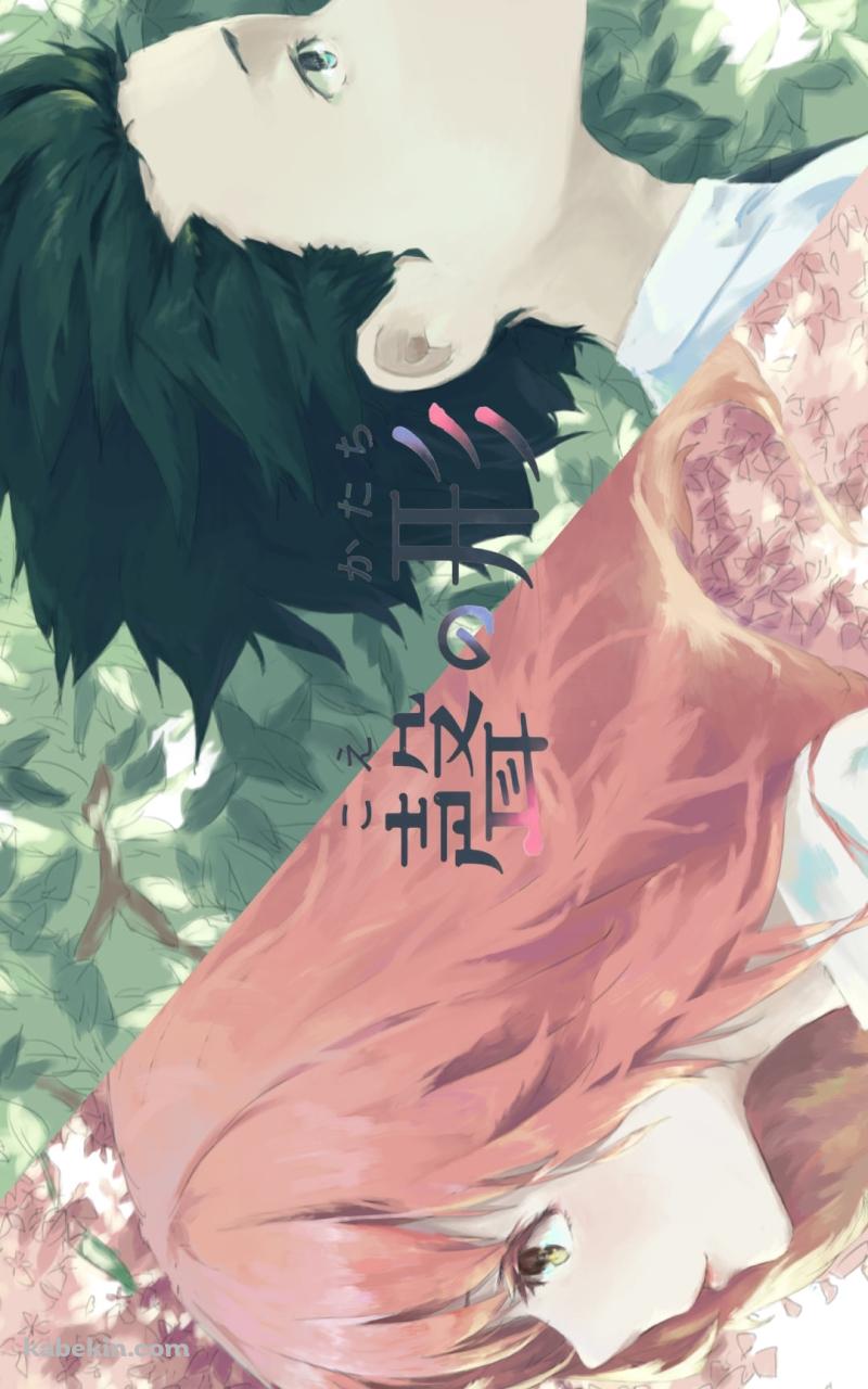 西宮硝子と石田将也 / ピンクの花 / 緑の草 / 映画 聲の形のAndroidの壁紙(800px x 1280px) スマホ用
