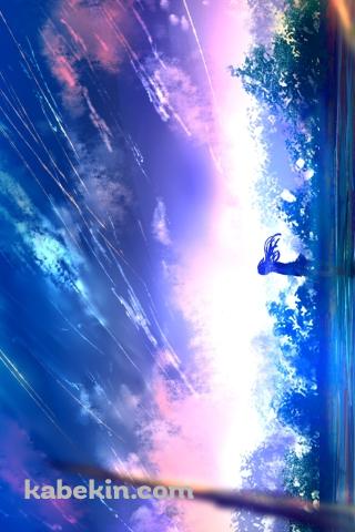 湖のほとりに立つ少女 / 水草 / 流星のAndroidの壁紙(320px x 480px) スマホ用
