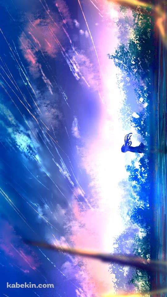 湖のほとりに立つ少女 / 水草 / 流星のAndroidの壁紙(540px x 960px) スマホ用