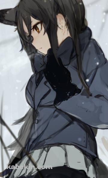 白い息を吐くギンギツネ / けものフレンズのAndroidの壁紙(360px x 592px) スマホ用