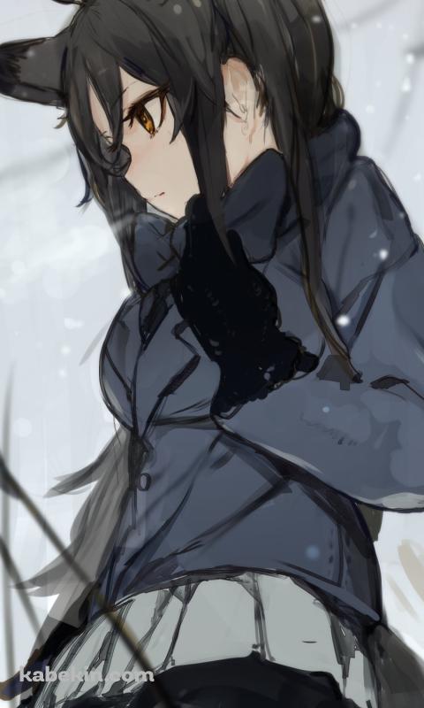 白い息を吐くギンギツネ / けものフレンズのAndroidの壁紙(480px x 800px) スマホ用