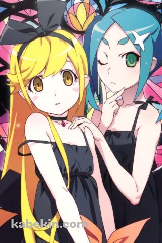 写真を撮る忍野忍と斧乃木余接(おののき よつぎ) / 偽物語のAndroidの壁紙(320px x 480px) スマホ用