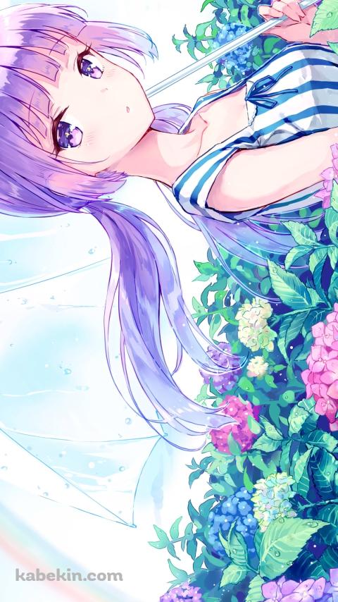 紫陽花の花畑でビニール傘をさす可愛い氷上スミレ / アイカツ!のAndroidの壁紙(480px x 854px) スマホ用