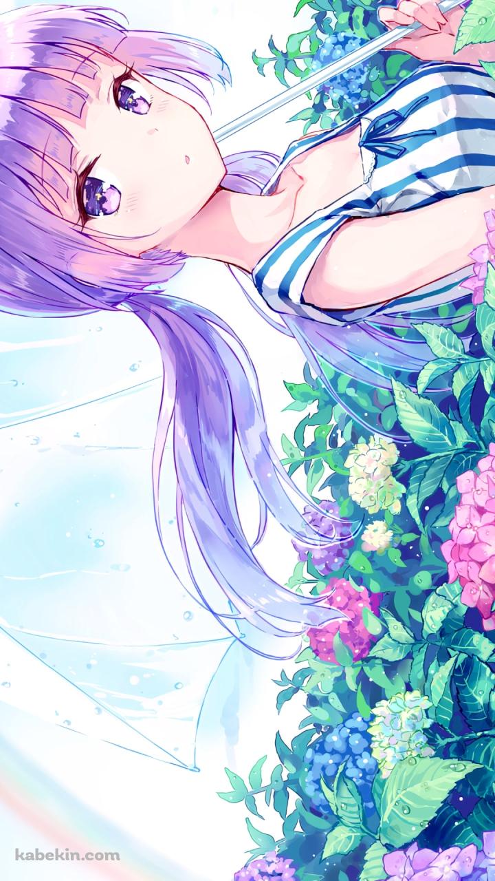 紫陽花の花畑でビニール傘をさす可愛い氷上スミレ / アイカツ!のAndroidの壁紙(720px x 1280px) スマホ用