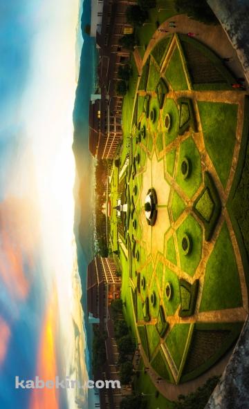 メー ファー ルアン大学 / タイ / MAE FAH LUANG UNIVERSITY / ThailandのAndroidの壁紙(360px x 592px) スマホ用