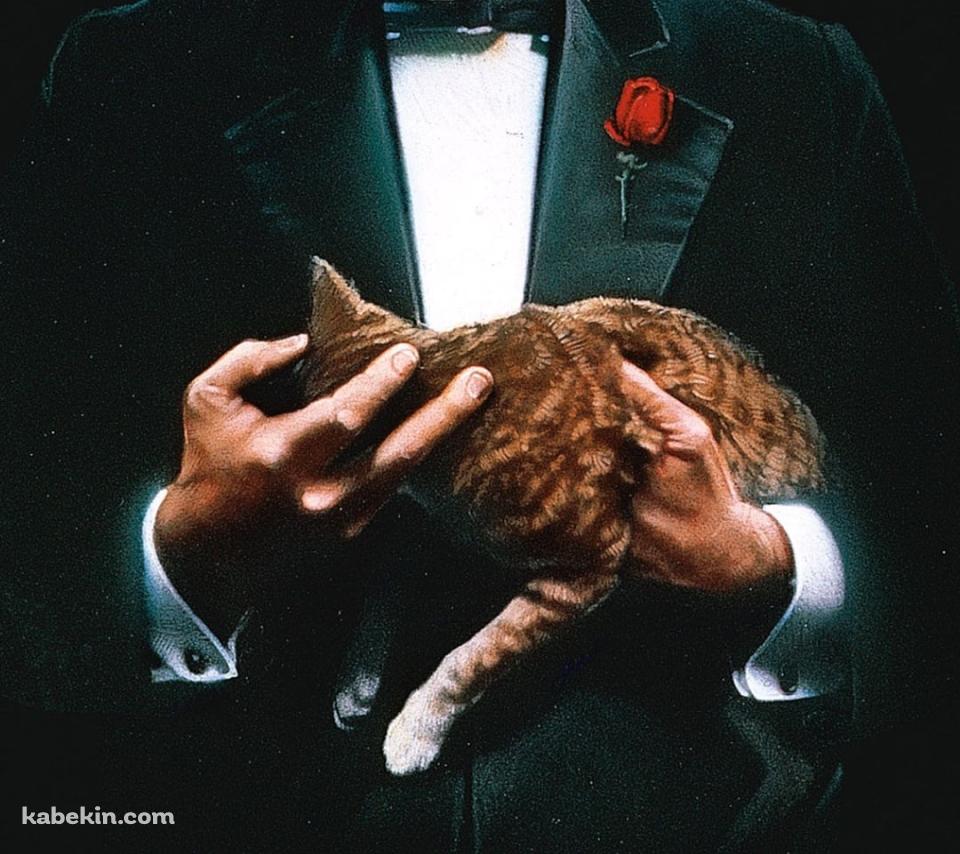 Godfather / MovieのAndroidの壁紙(960px x 854px) スマホ用