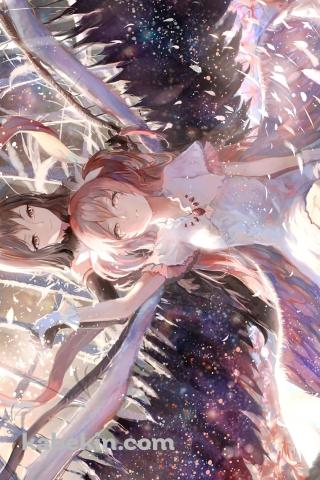 ピンクの羽が舞う中、手を取り合う鹿目まどかと暁美ほむら / アルティメットまどかと悪魔ほむら / 魔法少女まどか☆マギカのAndroidの壁紙(320px x 480px) スマホ用