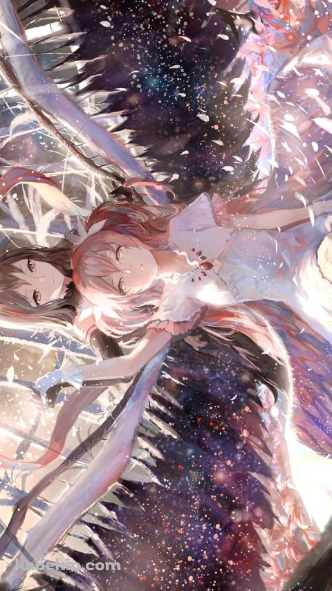 ピンクの羽が舞う中、手を取り合う鹿目まどかと暁美ほむら / アルティメットまどかと悪魔ほむら / 魔法少女まどか☆マギカのAndroidの壁紙(480px x 854px) スマホ用