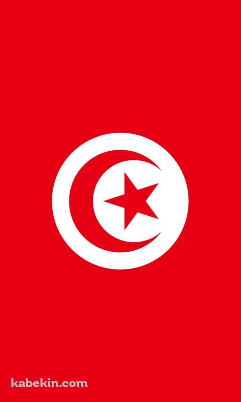 チュニジアの国旗 / Tunisia flagのAndroidの壁紙(480px x 800px) スマホ用