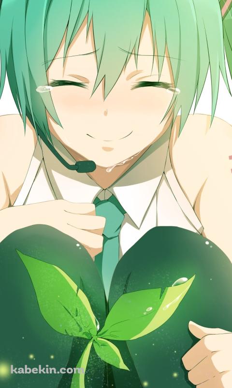 芽吹く葉っぱを見てうれし泣きする初音ミク / ボカロ / ボーカロイドのAndroidの壁紙(480px x 800px) スマホ用