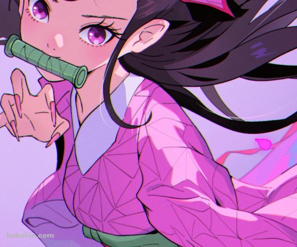 ポップなタッチで描かれた竈門禰豆子 / 鬼滅の刃のAndroidの壁紙(960px x 800px) スマホ用
