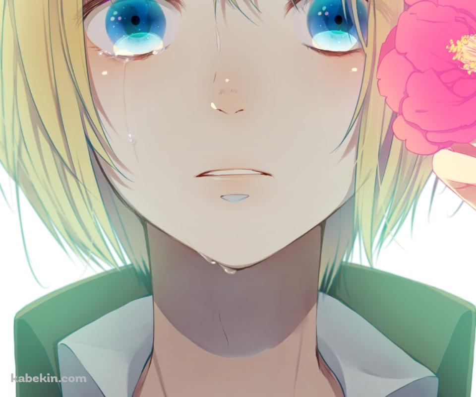 ピンクの花を添えられて涙目のアルミン・アルレルト / Armin Arlert / 進撃の巨人のAndroidの壁紙(960px x 800px) スマホ用