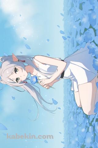 青い花を摘みこちらを見つめる可愛いフリーレン / 葬送のフリーレンのAndroidの壁紙(320px x 480px) スマホ用