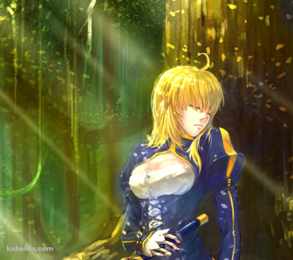 木漏れ日さす大木の下でお昼寝をするセイバー / アルトリア・ペンドラゴン / FateのAndroidの壁紙(960px x 854px) スマホ用