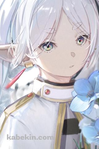 蒼月草と綺麗なフリーレン / ヒンメル / 葬送のフリーレンのAndroidの壁紙(320px x 480px) スマホ用