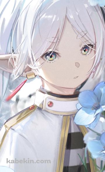 蒼月草と綺麗なフリーレン / ヒンメル / 葬送のフリーレンのAndroidの壁紙(360px x 592px) スマホ用