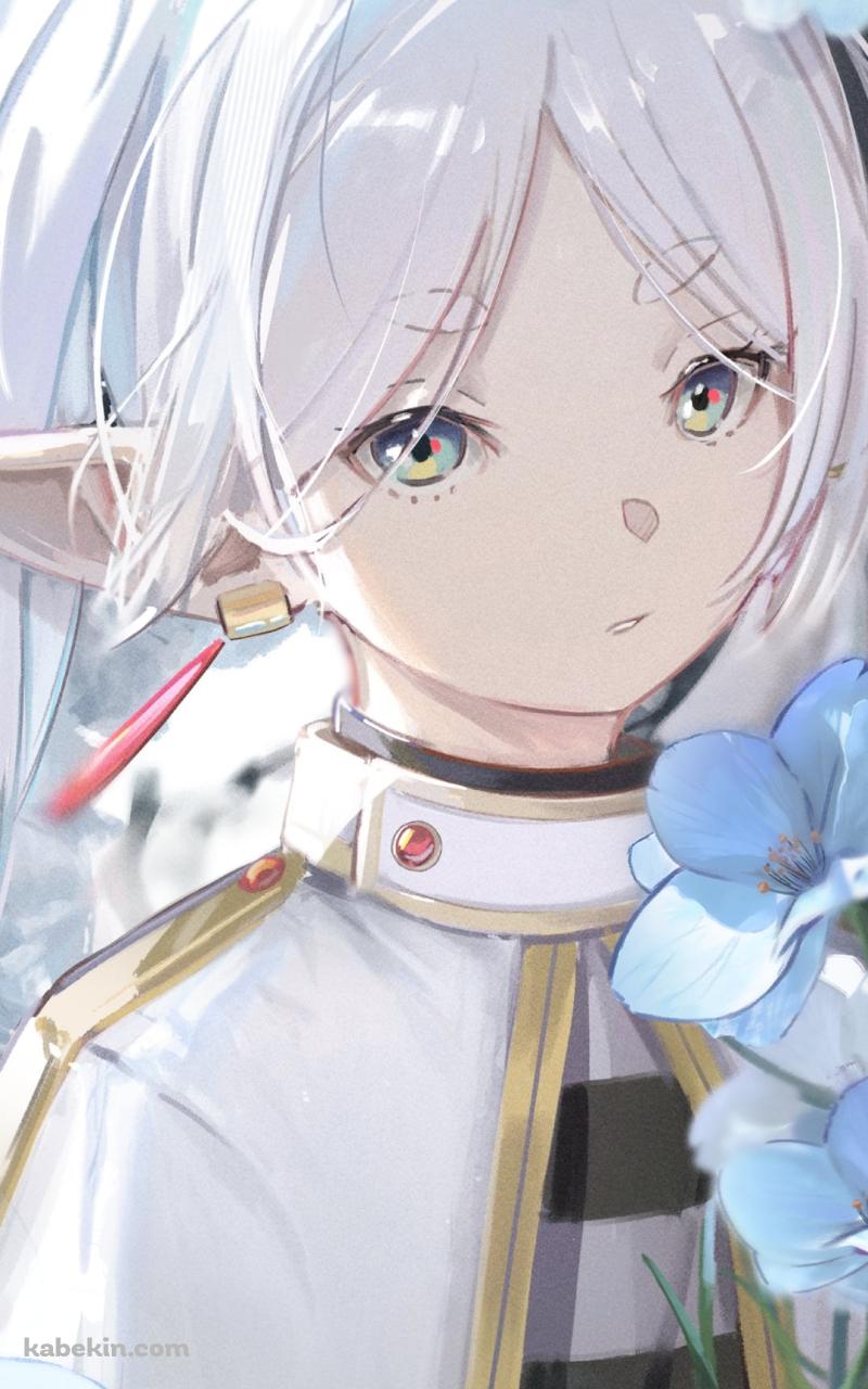 蒼月草と綺麗なフリーレン / ヒンメル / 葬送のフリーレンのAndroidの壁紙(800px x 1280px) スマホ用