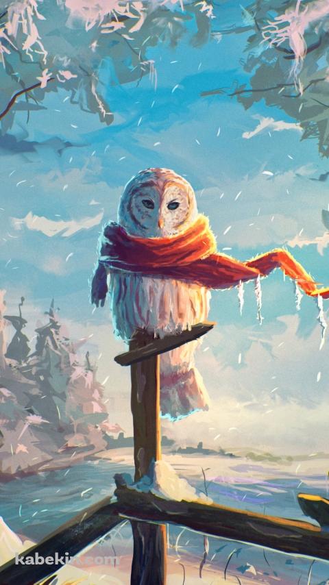 冬、オレンジのマフラーを巻くフクロウのAndroidの壁紙(480px x 854px) スマホ用
