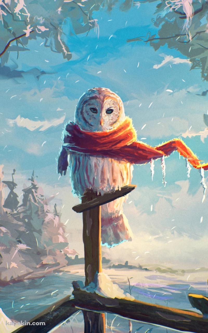 冬、オレンジのマフラーを巻くフクロウのAndroidの壁紙(800px x 1280px) スマホ用