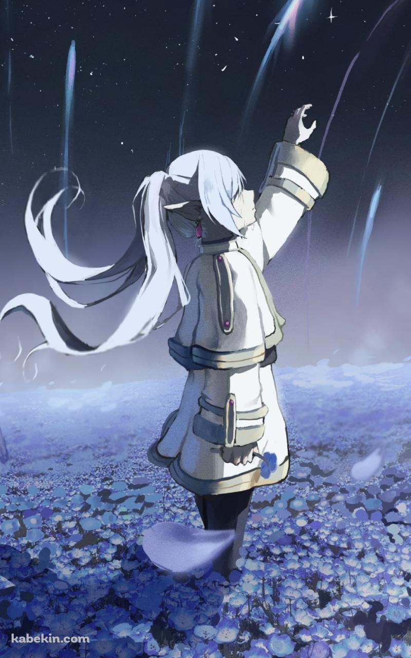 蒼月草の花畑に立ち天に手をかざすフリーレン / 葬送のフリーレンのAndroidの壁紙(800px x 1280px) スマホ用
