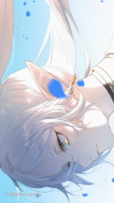 蒼月草の青い花びらと凛々しい表情のフリーレン / 葬送のフリーレンのAndroidの壁紙(480px x 854px) スマホ用