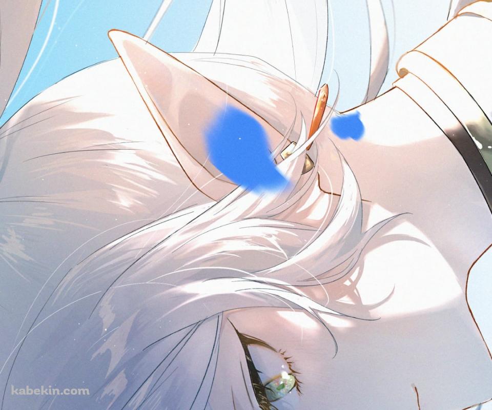 蒼月草の青い花びらと凛々しい表情のフリーレン / 葬送のフリーレンのAndroidの壁紙(960px x 800px) スマホ用