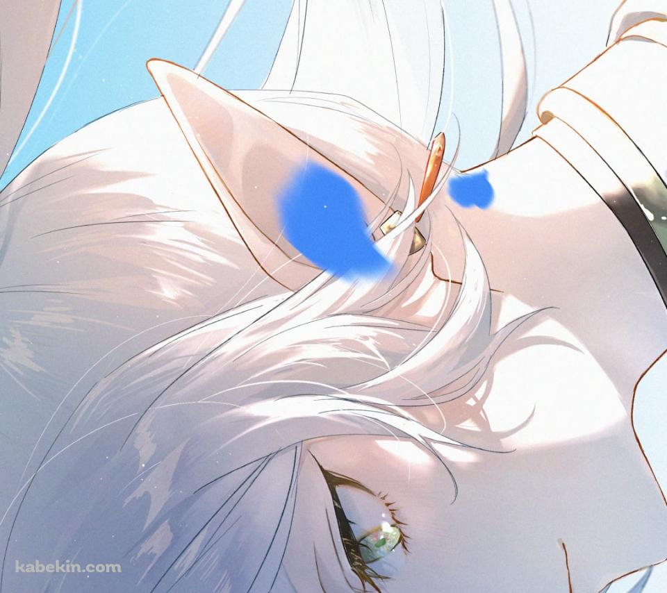 蒼月草の青い花びらと凛々しい表情のフリーレン / 葬送のフリーレンのAndroidの壁紙(960px x 854px) スマホ用