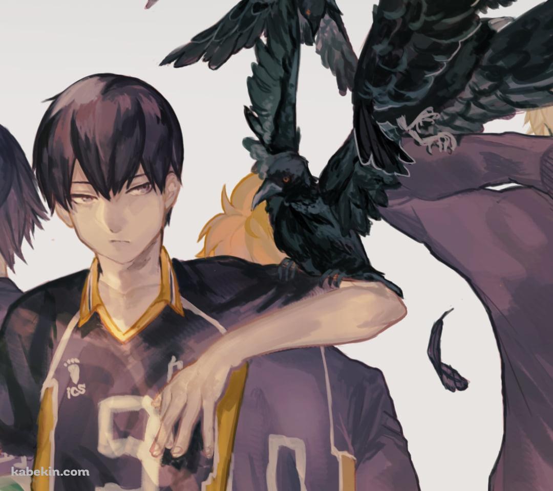 影山飛雄と黒いカラス / バレーボール / ハイキュー!!のAndroidの壁紙(1080px x 960px) スマホ用