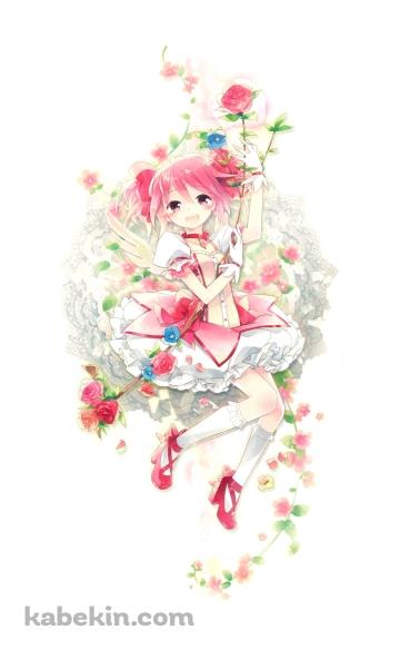 ピンクの薔薇を持つ笑顔の鹿目まどか / 魔法少女まどか☆マギカのAndroidの壁紙(360px x 592px) スマホ用