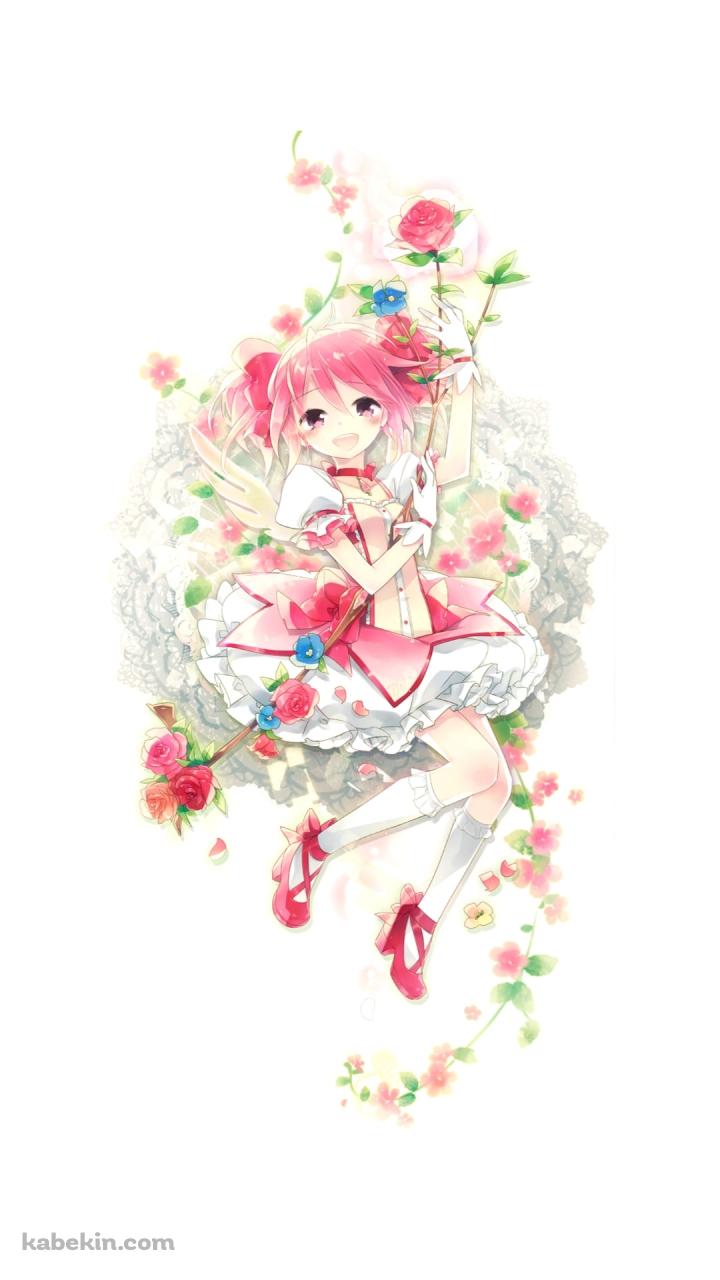 ピンクの薔薇を持つ笑顔の鹿目まどか / 魔法少女まどか☆マギカのAndroidの壁紙(720px x 1280px) スマホ用