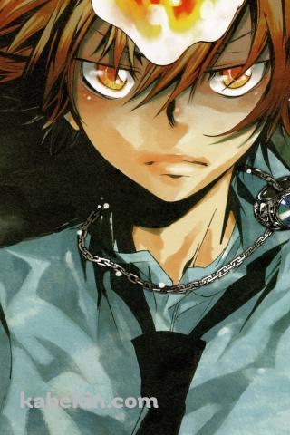 鋭い眼光の沢田綱吉 / 家庭教師ヒットマンREBORN!のAndroidの壁紙(320px x 480px) スマホ用