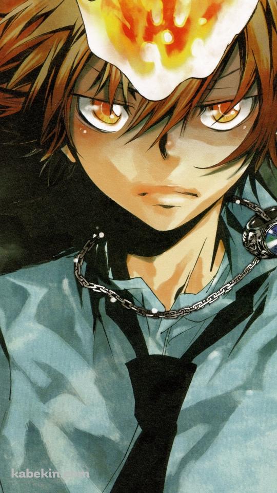 鋭い眼光の沢田綱吉 / 家庭教師ヒットマンREBORN!のAndroidの壁紙(540px x 960px) スマホ用