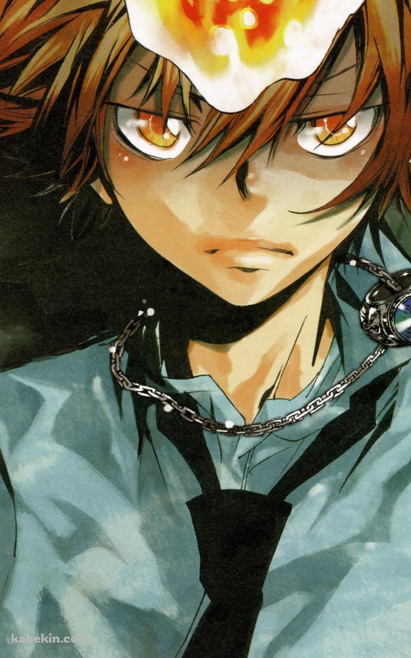 鋭い眼光の沢田綱吉 / 家庭教師ヒットマンREBORN!のAndroidの壁紙(800px x 1280px) スマホ用