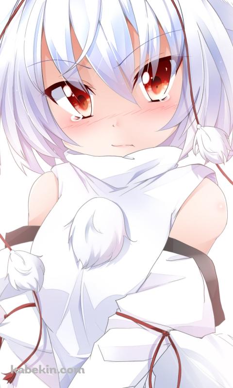涙目でこちらを見つめる犬走椛 / 東方のAndroidの壁紙(480px x 800px) スマホ用