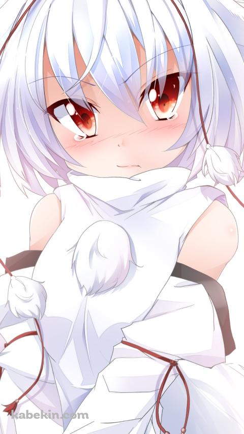 涙目でこちらを見つめる犬走椛 / 東方のAndroidの壁紙(480px x 854px) スマホ用