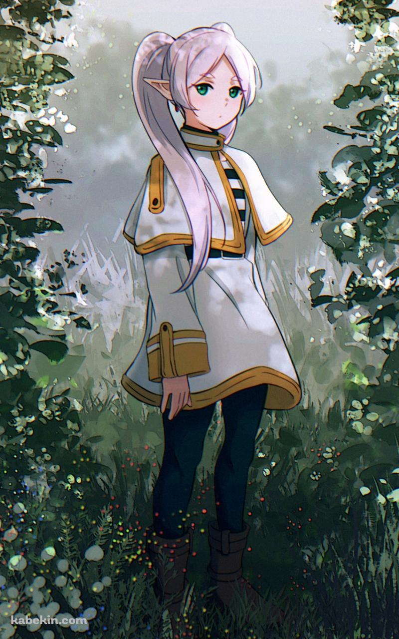 アーチ状の草の向こうにいるフリーレン / 葬送のフリーレンのAndroidの壁紙(800px x 1280px) スマホ用