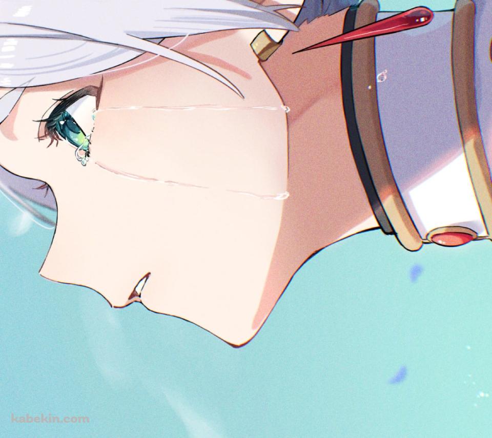 涙を流して空を見上げるフリーレン / 葬送のフリーレンのAndroidの壁紙(960px x 854px) スマホ用