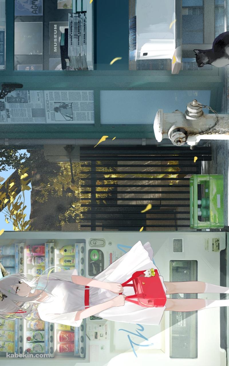 自動販売機の前で黒い猫を見つめるケルシー / アークナイツのAndroidの壁紙(800px x 1280px) スマホ用