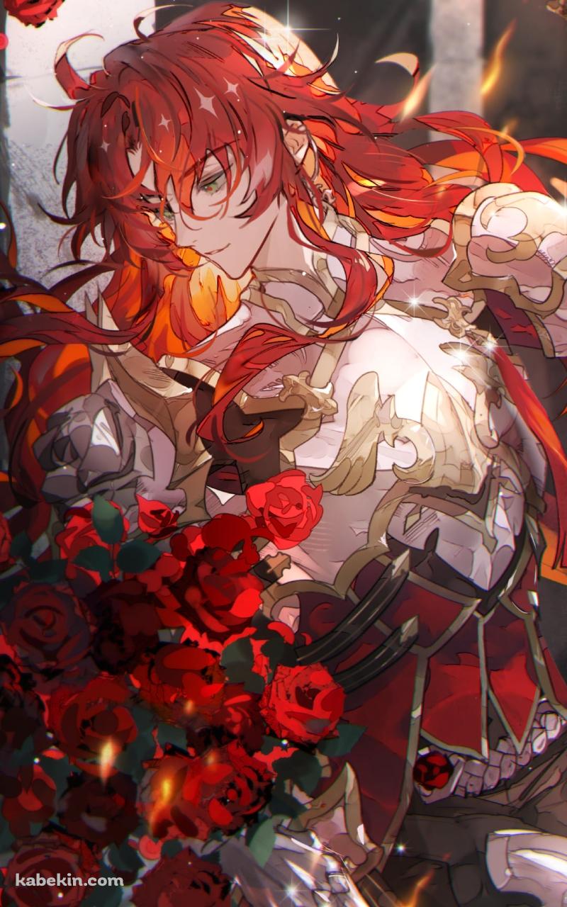 赤い薔薇を愛でるアルジェンティ / 崩壊:スターレイルのAndroidの壁紙(800px x 1280px) スマホ用
