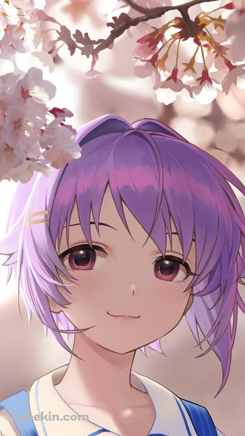 桜の花びらを見つめる輿水幸子 / アイドルマスターのAndroidの壁紙(480px x 854px) スマホ用